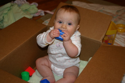 camibox.jpg