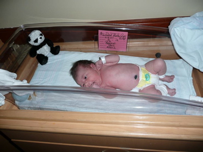 babystella.jpg