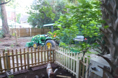 backyardbefore2.jpg