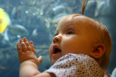 camiaquarium.jpg