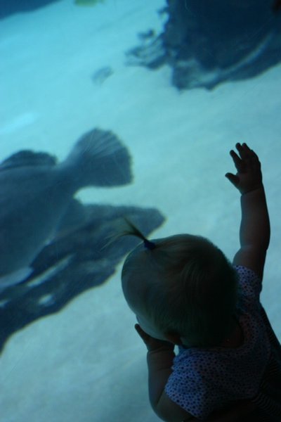 camiaquarium2.jpg