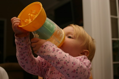 camiblender.jpg