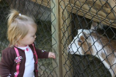 camilleandgoat.jpg