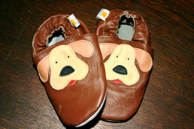 dogshoes.jpg