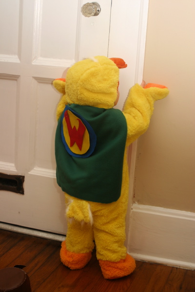 duckling1.jpg
