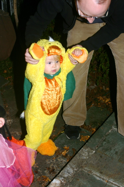 duckling3.jpg