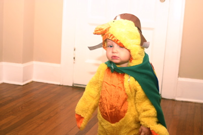duckling6.jpg