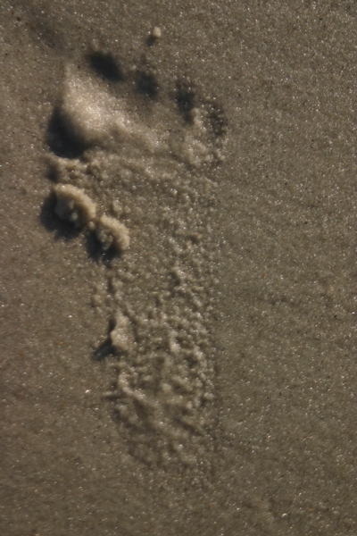 footprint.jpg