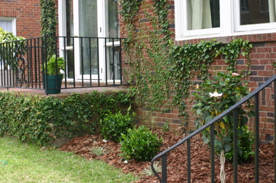 landscapingleft.jpg