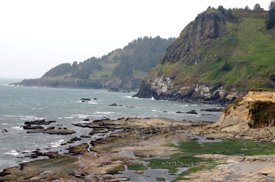 rockyshore.jpg